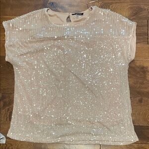 Cable & Gauge Beige Sequin Blouse